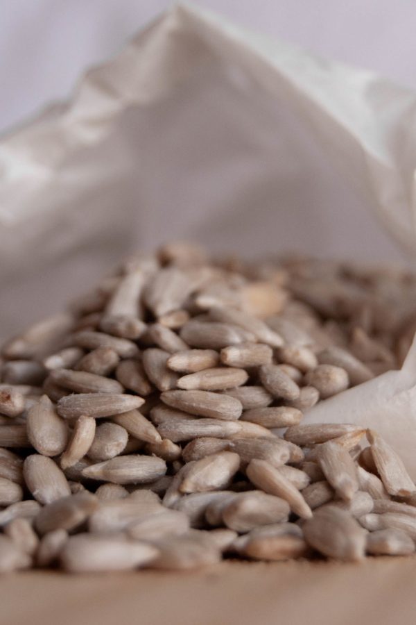 Sunflower seed